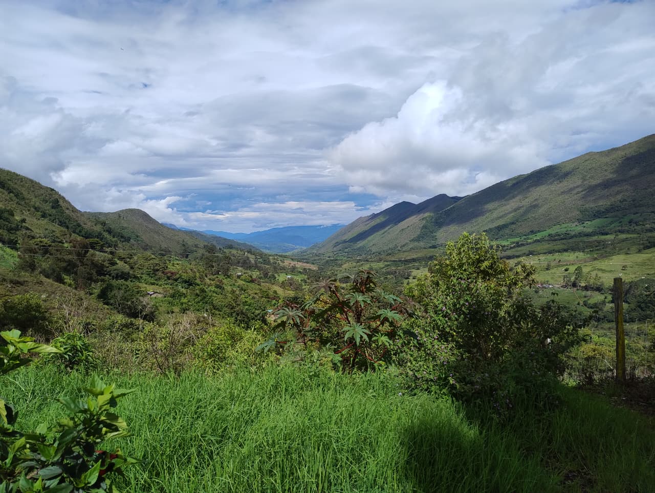 Imagen de WhatsApp 2025 09 03 a las 12.56.12 b72afbe5