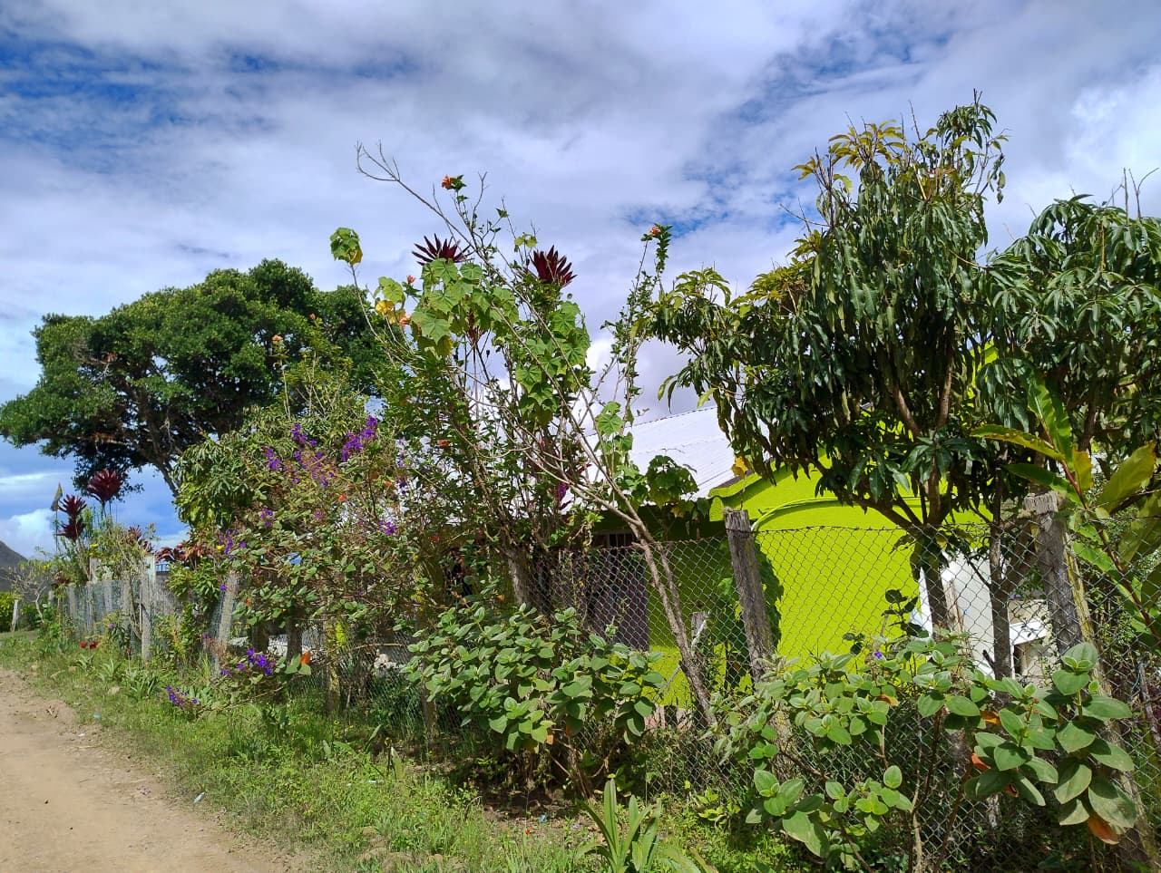 Imagen de WhatsApp 2025 09 03 a las 12.56.13 7c2cf90f