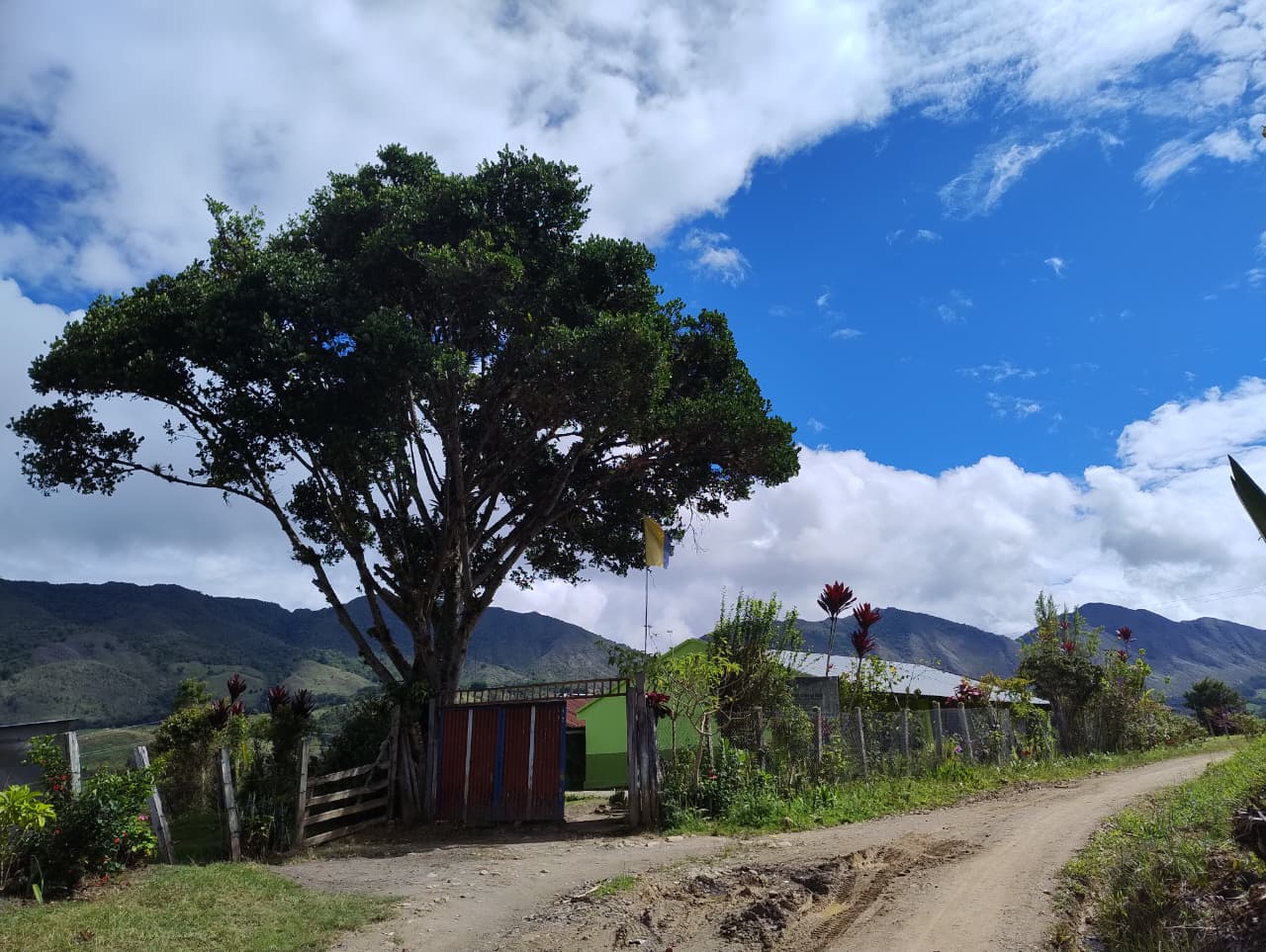 Imagen de WhatsApp 2025 09 03 a las 12.56.21 cc2d9966