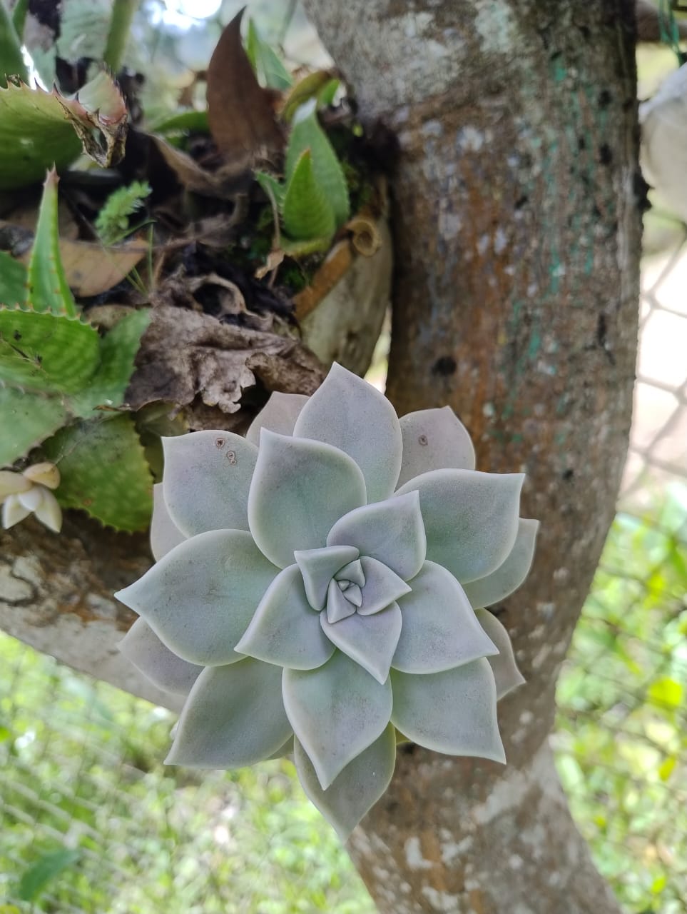 Imagen de WhatsApp 2025 09 03 a las 12.56.23 ad6c390c